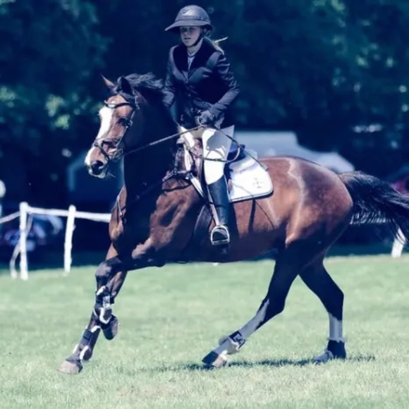 Meet your Posher, Ambar - Picture 1 of 1